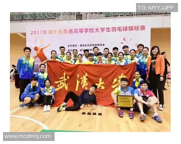 武汉羽毛球队运营策略深度分析与市场发展前景探讨